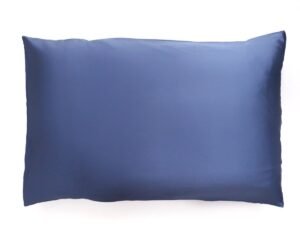 Silk Magnolia Silk Pillowcase Sorrento Blue